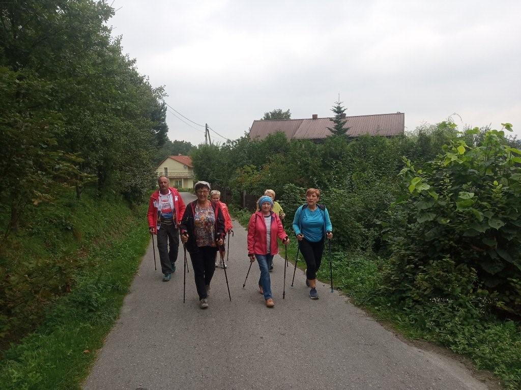 2. Uczestnicy spaceru z kijkami idą drogą pod górę w Łękawicy.