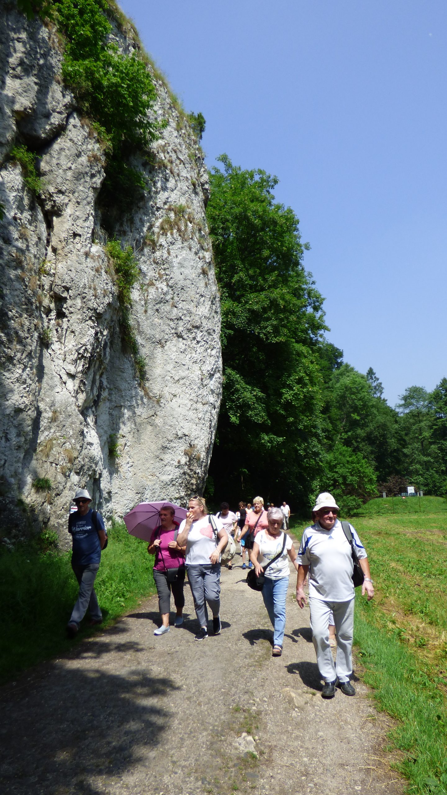 Na zdjęciu uczestnicy wycieczki spacerują po terenie parku, przechodzą obok skał.