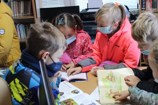 Zdjęcie przedstawia dzieci oglądających książki o misiach.