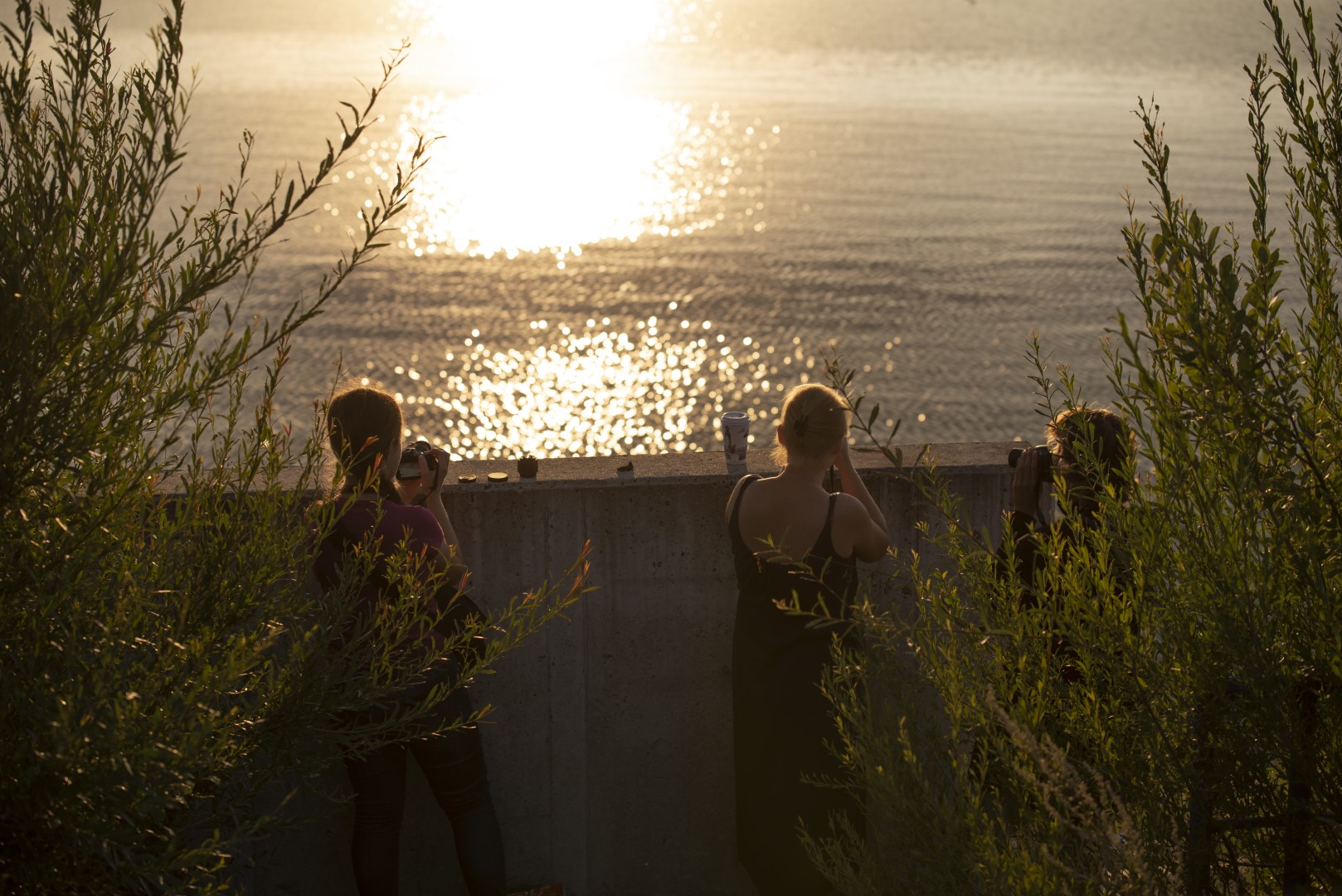 Troje uczestników projektowych warsztatów fotograficznych fotografuje Jezioro Mucharskie o zachodzie słońca.